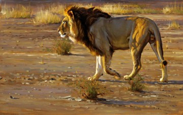 lion 10 Oil Paintings